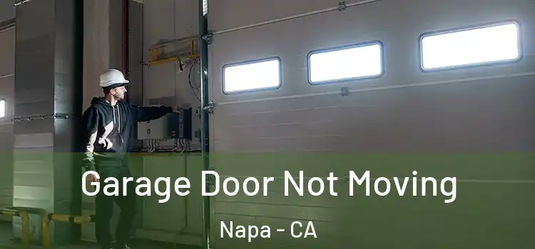  Garage Door Not Moving Napa - CA