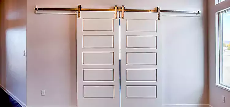 Glass Barn Door with Installation Hardware Kit Napa